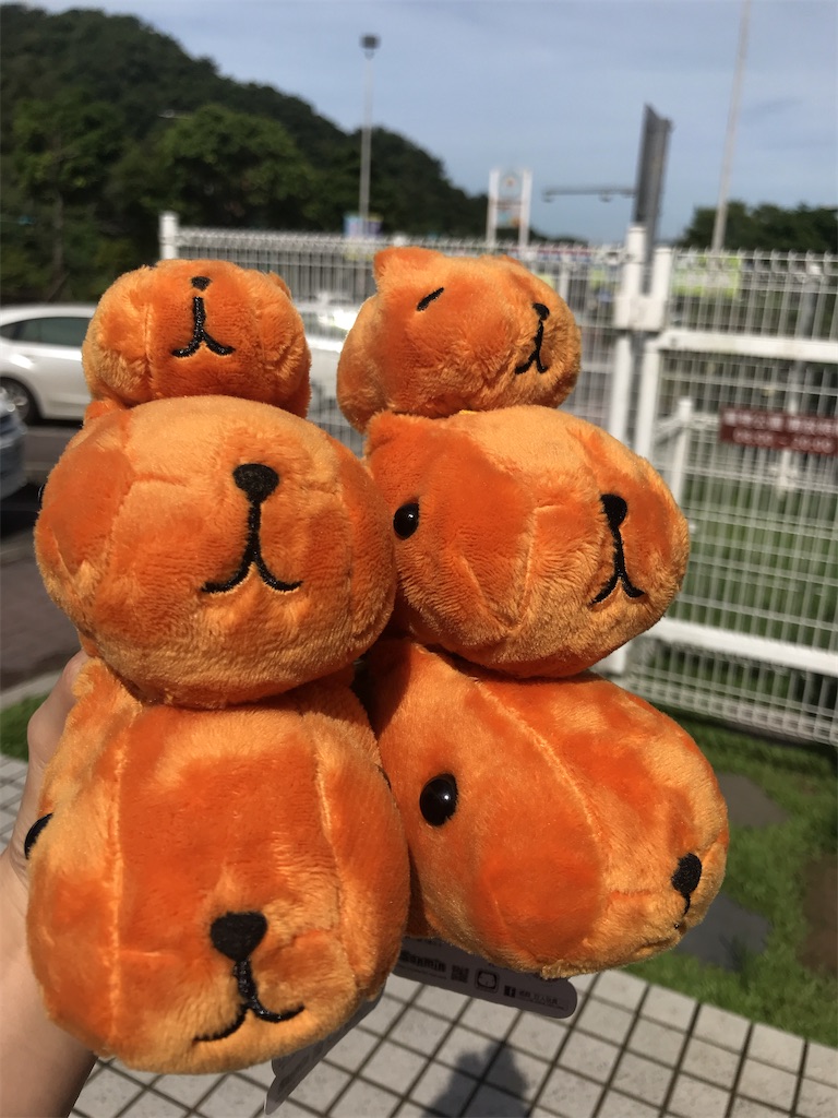 台湾のクレーンゲームで遊ぼう ふんわり台湾