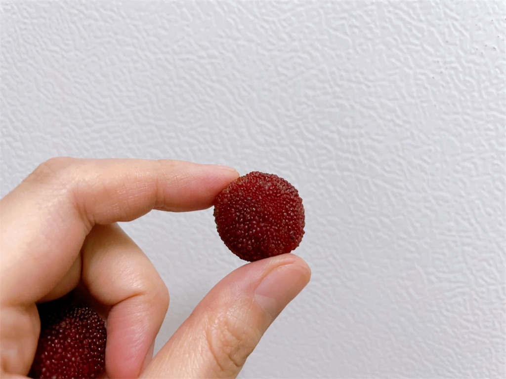 f:id:yasumarutaiwan:20210512155509j:plain