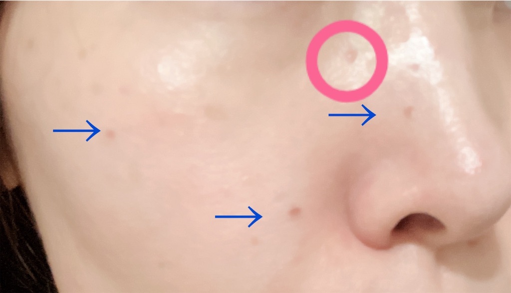 f:id:yasumarutaiwan:20211101143430j:plain