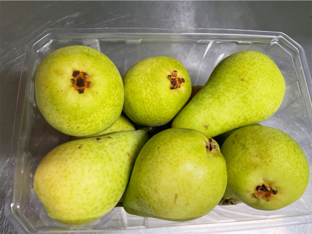 f:id:yasumarutaiwan:20220412143019j:plain