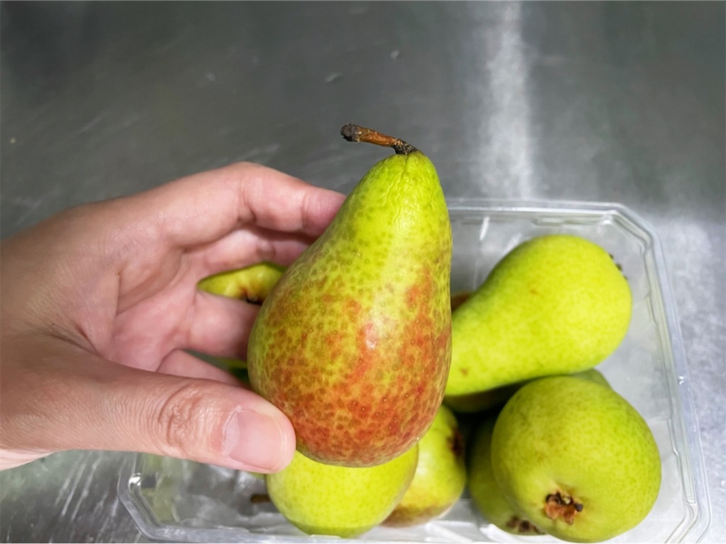 f:id:yasumarutaiwan:20220412143241j:plain