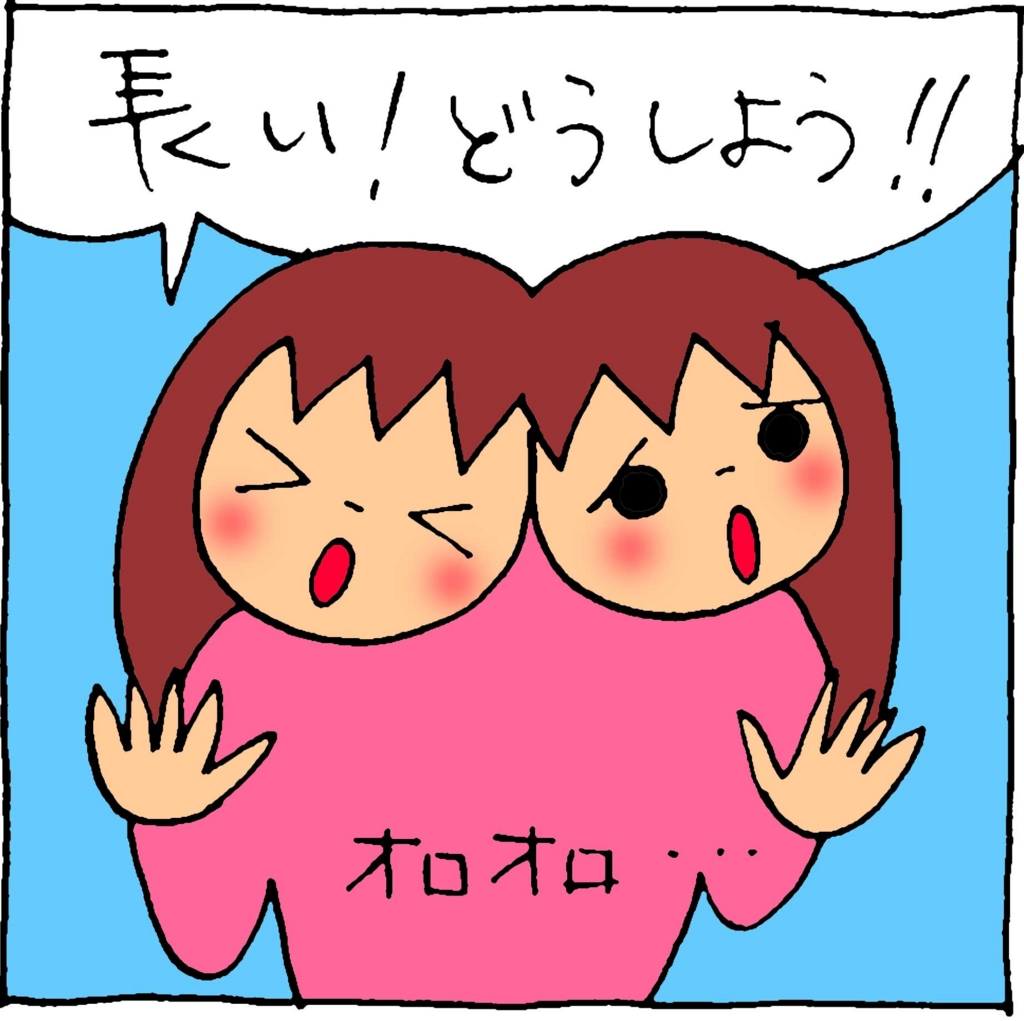 f:id:yasumi-08:20170213170856j:plain f:id:yasumi-08:20170213170856j:plain