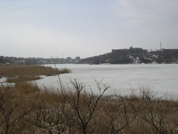 f:id:yasumizaka:20100405180932j:image