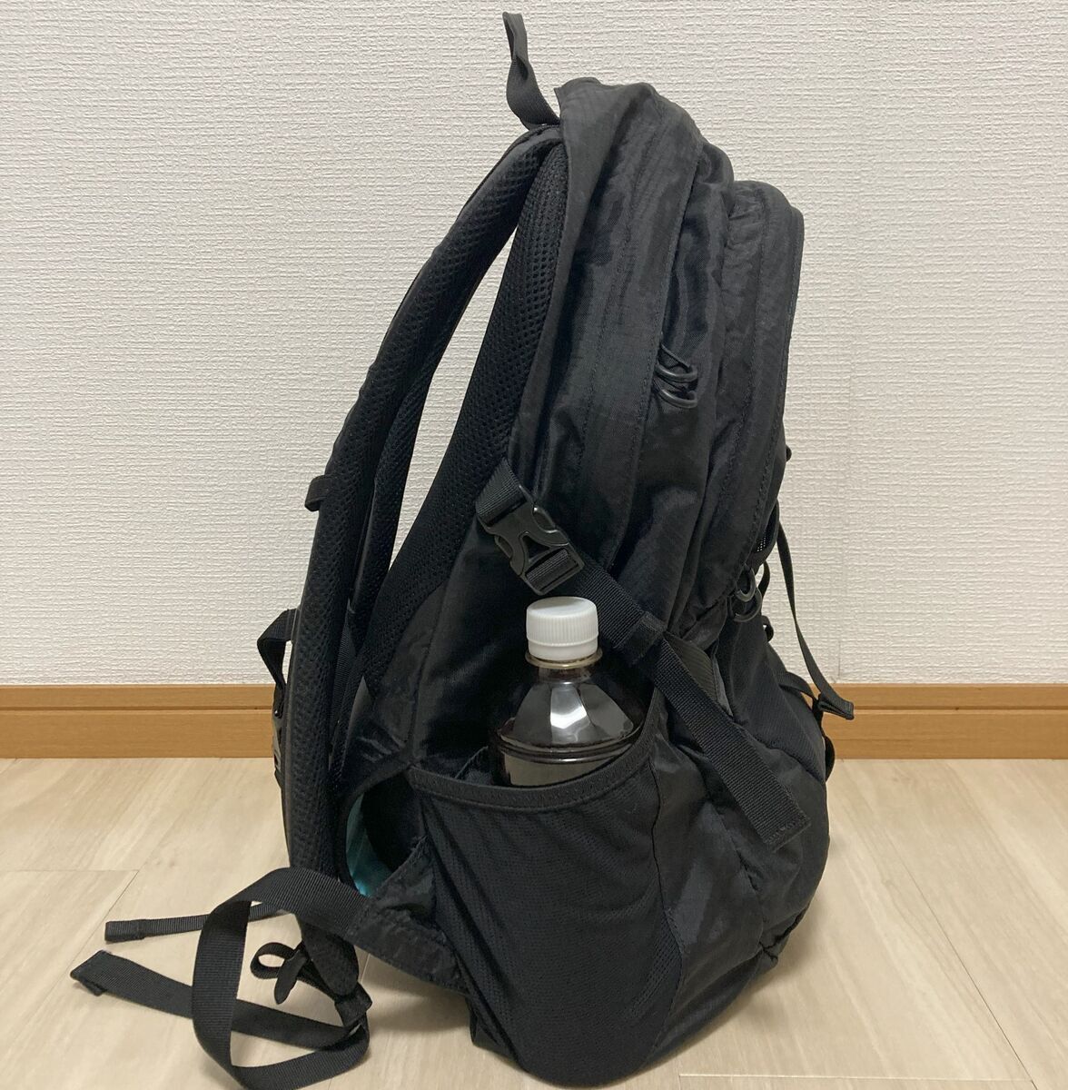チャムスのスプリングデール25徹底レビュー｜サイズ感や機能は