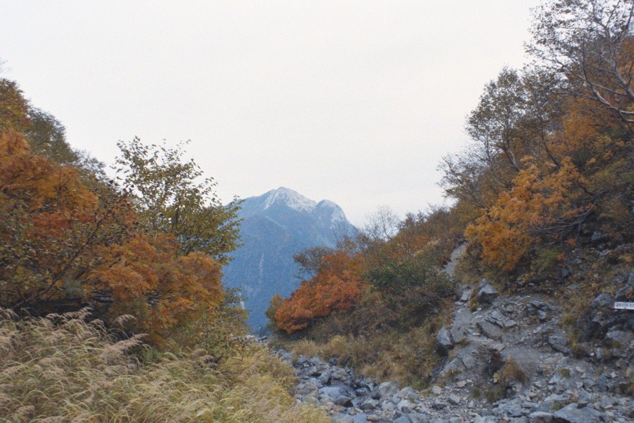 f:id:yasuo_ssi:20200827082445j:plain f:id:yasuo_ssi:20200827082445j:plain