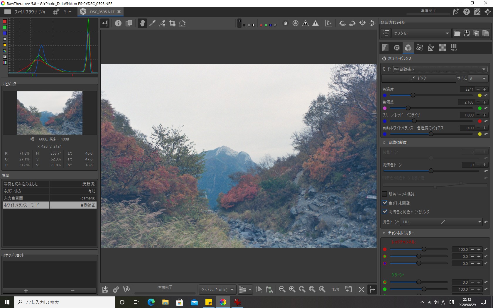 f:id:yasuo_ssi:20200829222937j:plain f:id:yasuo_ssi:20200829222937j:plain