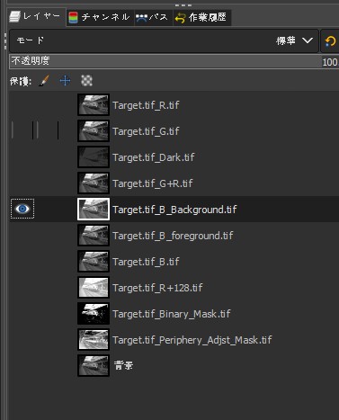 f:id:yasuo_ssi:20210101233941j:plain