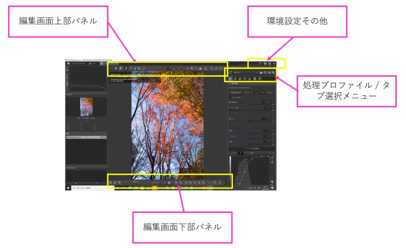 f:id:yasuo_ssi:20210109113213j:plain