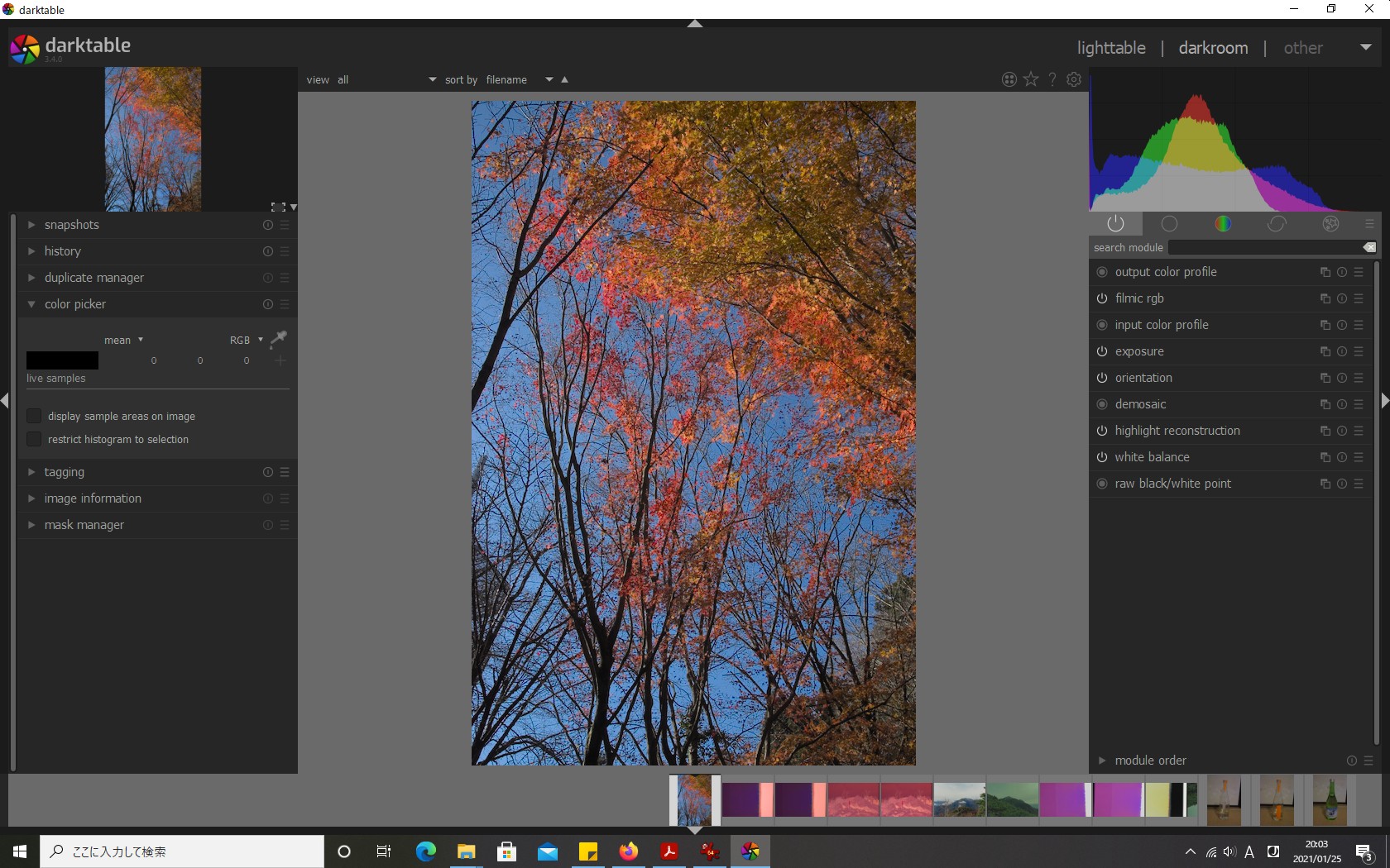 f:id:yasuo_ssi:20210125200422j:plain