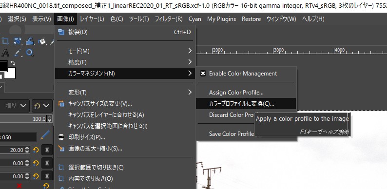 f:id:yasuo_ssi:20210307190657j:plain