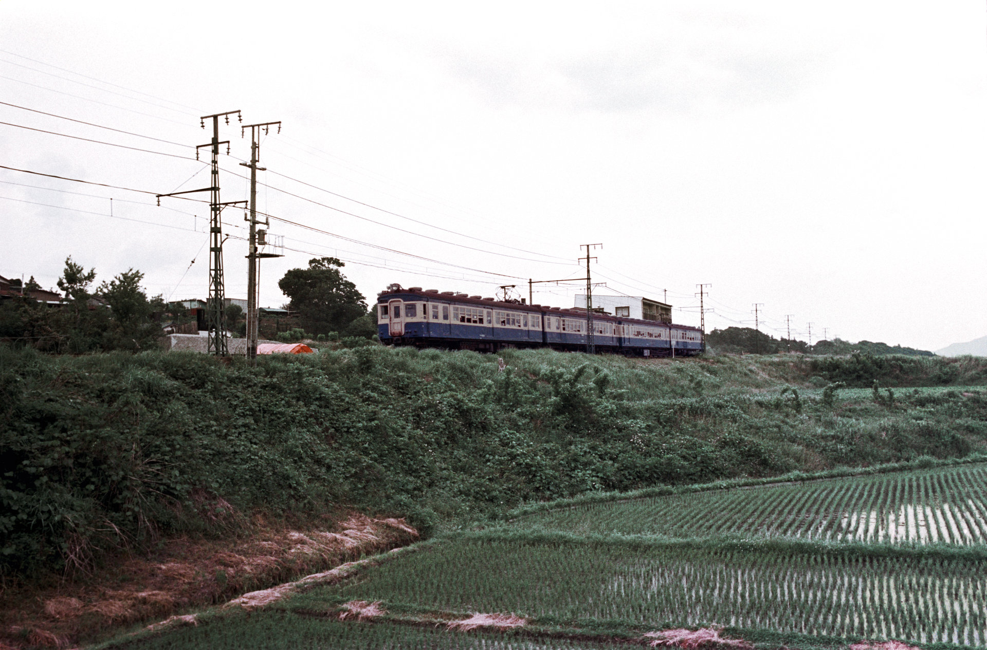 f:id:yasuo_ssi:20210307235949j:plain