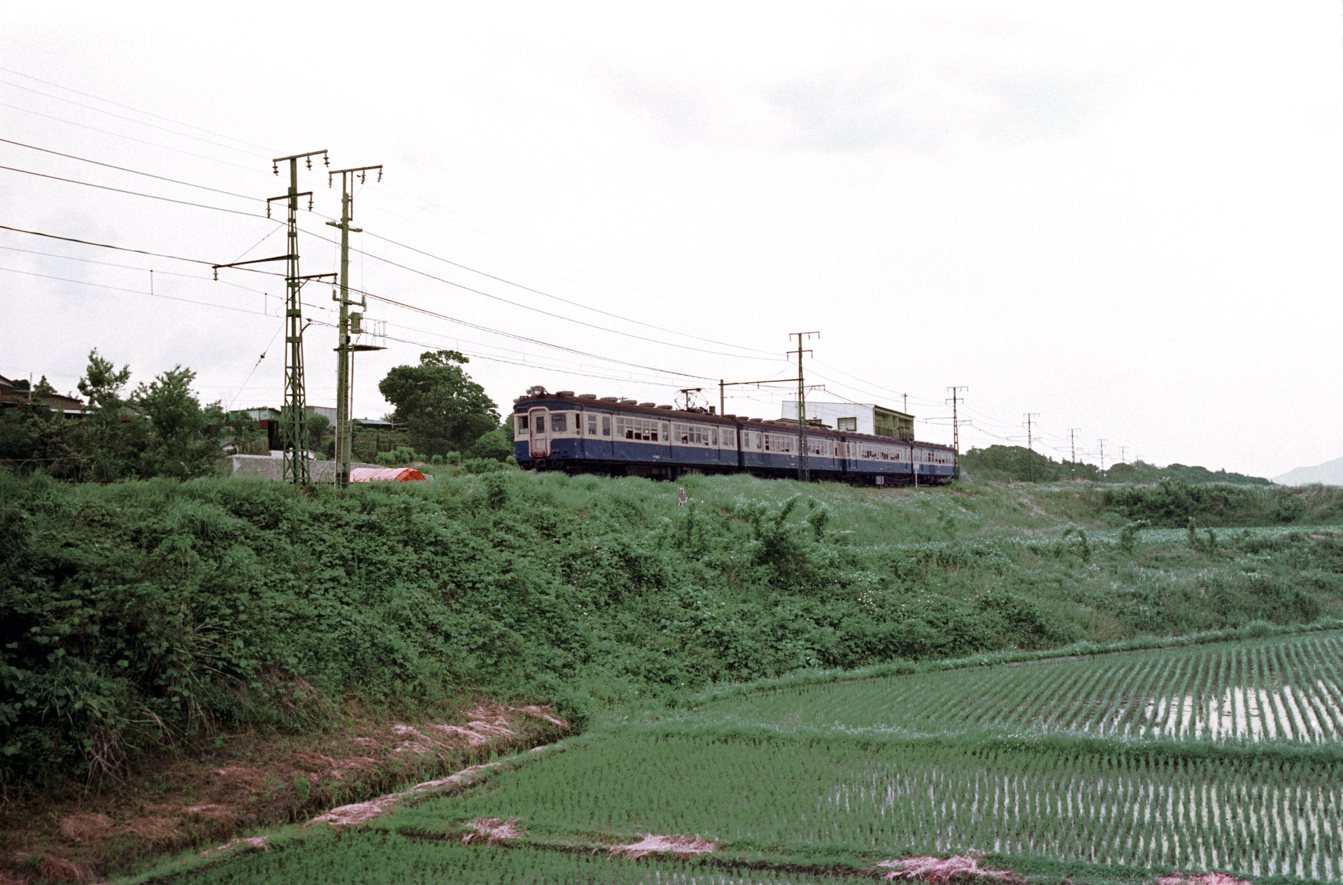 f:id:yasuo_ssi:20210331100152j:plain