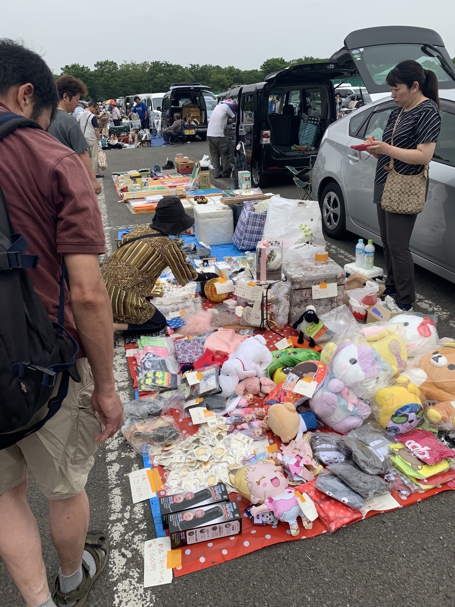 f:id:yasuragidou:20190615174651j:plain