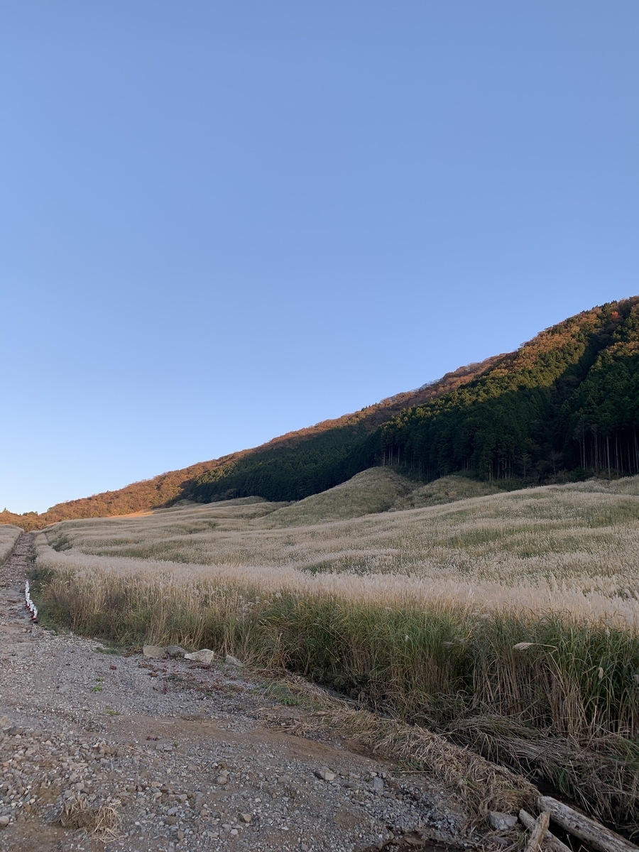 f:id:yasuragidou:20191113070704j:plain