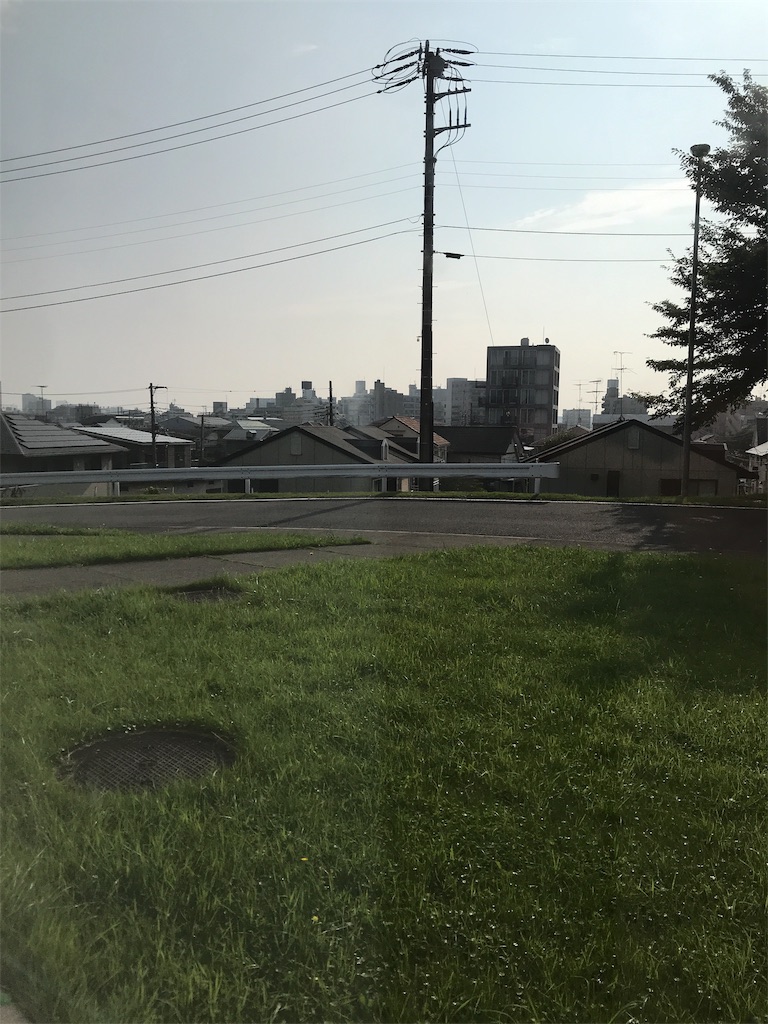 f:id:yasuraginomori:20190729072535j:image f:id:yasuraginomori:20190729072535j:image
