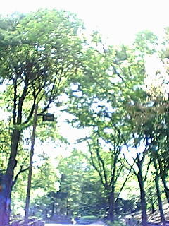 20050519100837