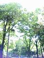 20050519100837