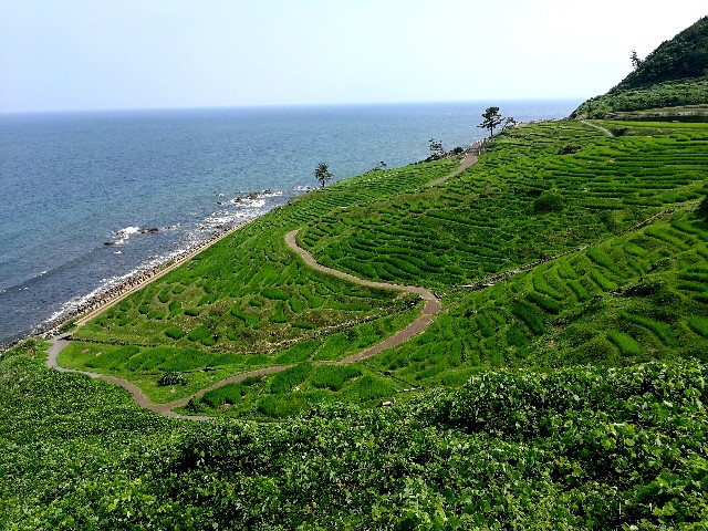 f:id:yasutaka_k:20200925170727j:image f:id:yasutaka_k:20200925170727j:image