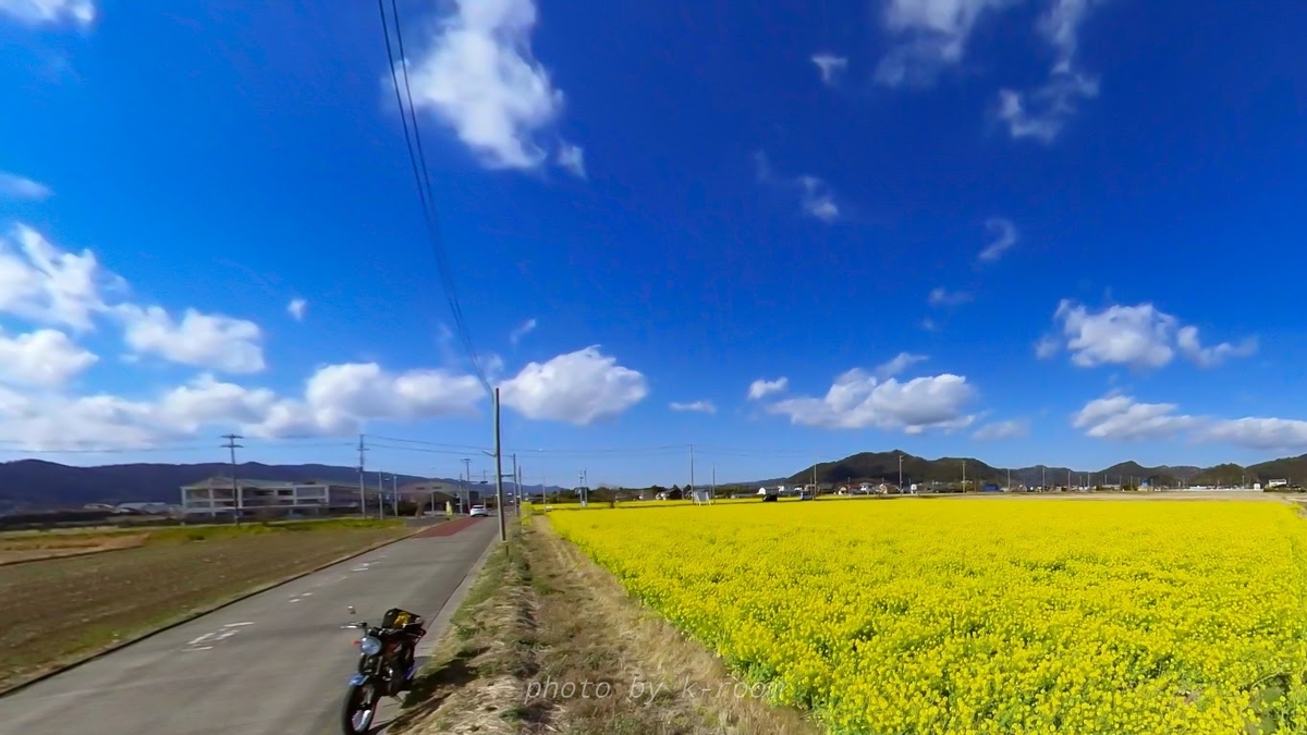 f:id:yasutaka_k:20210203113531j:plain