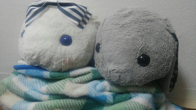 f:id:yasuto_gureti:20190130014413j:image