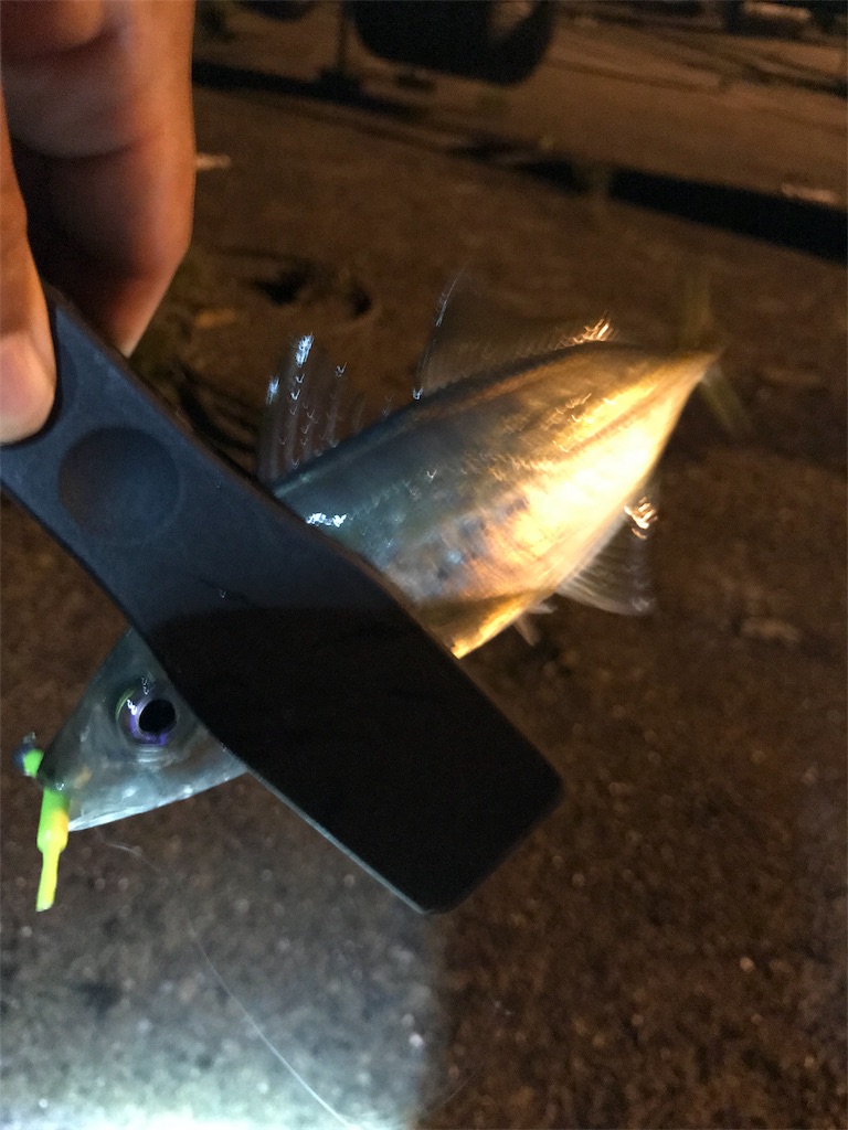 f:id:yasutsuchi2:20180713074032j:image f:id:yasutsuchi2:20180713074032j:image