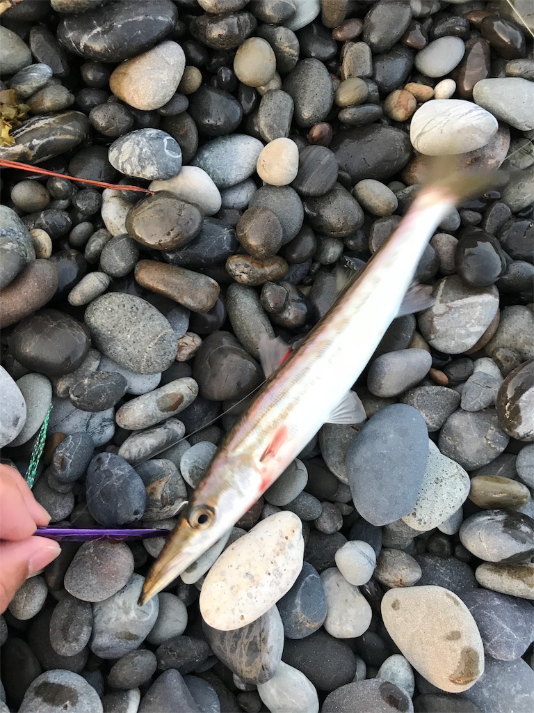 f:id:yasutsuchi2:20180714172148j:image