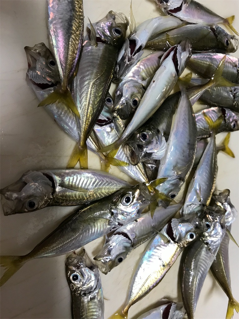 f:id:yasutsuchi2:20180807221701j:image