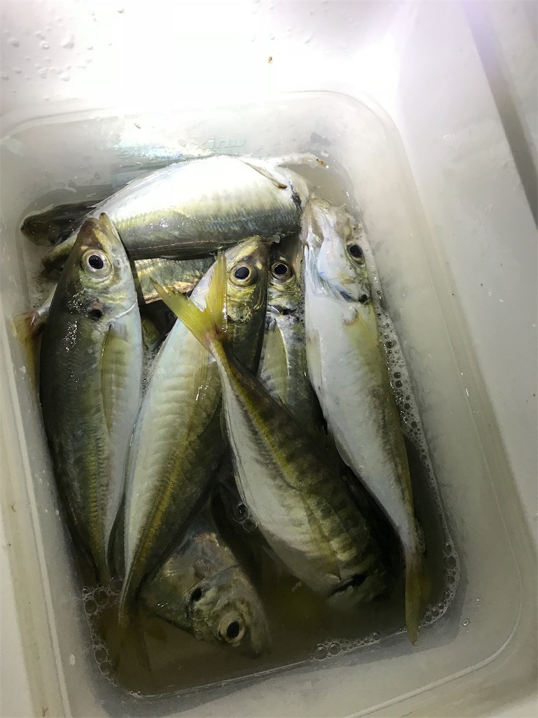 f:id:yasutsuchi2:20180807221739j:image