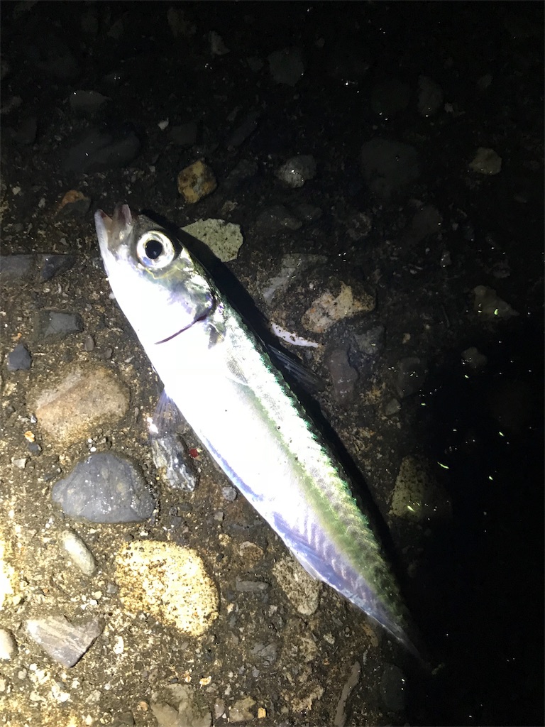 f:id:yasutsuchi2:20180808211808j:image