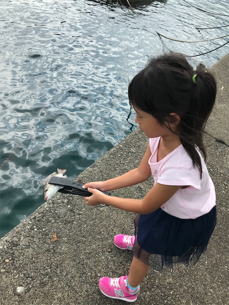 f:id:yasutsuchi2:20180924134529j:image f:id:yasutsuchi2:20180924134529j:image