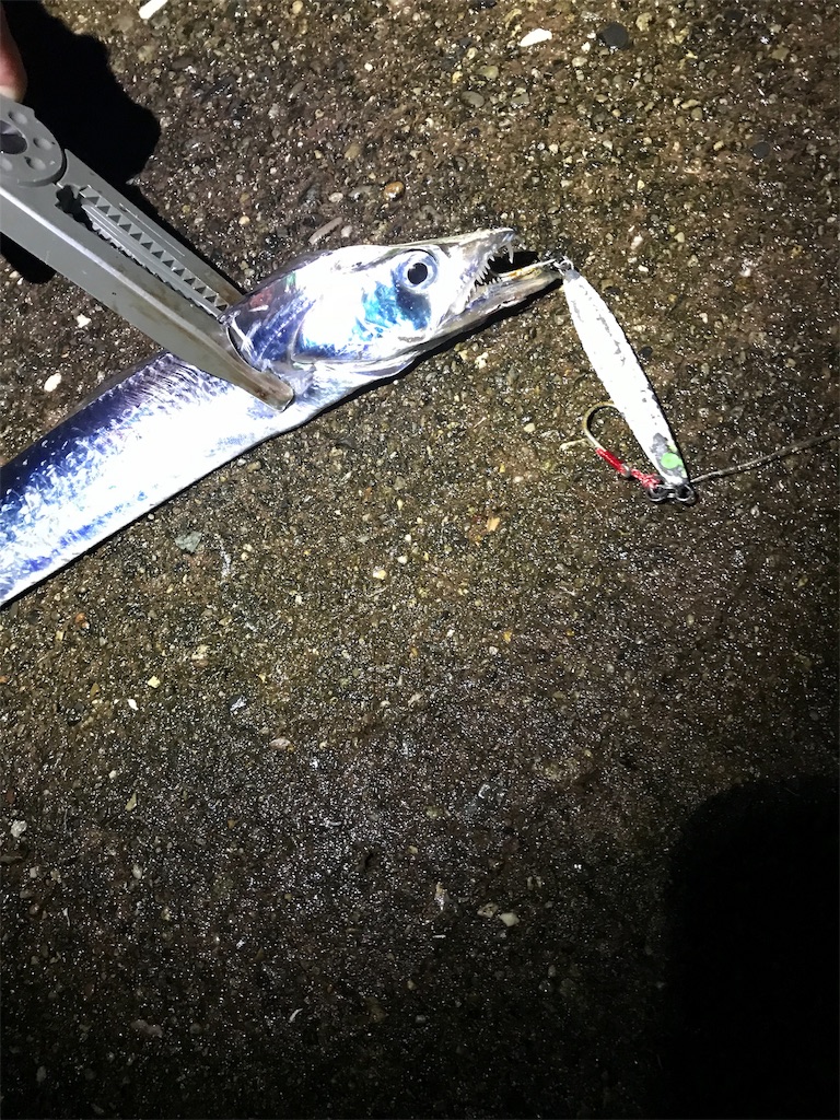 f:id:yasutsuchi2:20181006135948j:image f:id:yasutsuchi2:20181006135948j:image