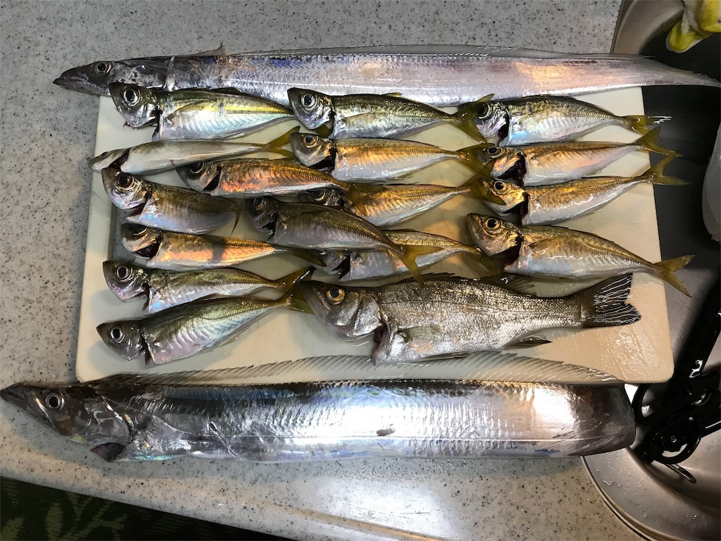 f:id:yasutsuchi2:20181006141009j:image f:id:yasutsuchi2:20181006141009j:image