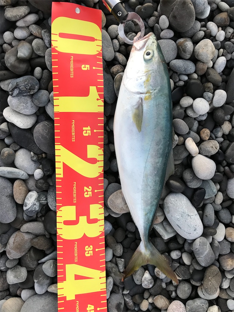 f:id:yasutsuchi2:20181116214923j:image