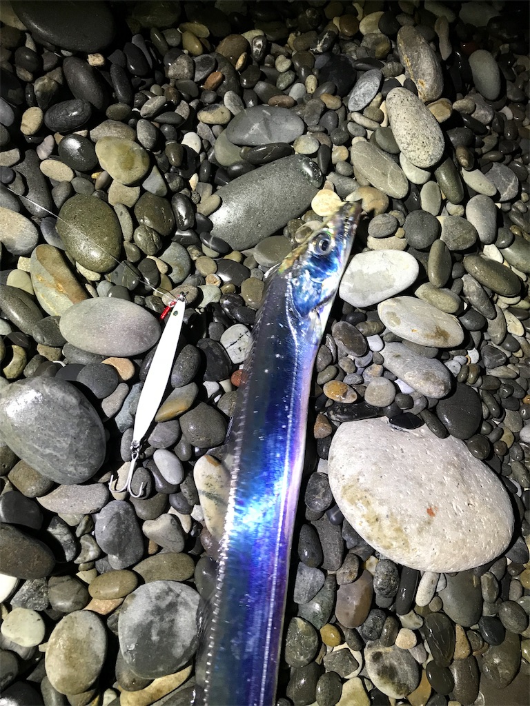 f:id:yasutsuchi2:20181116215018j:image