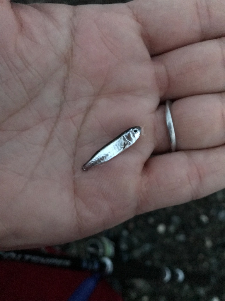 f:id:yasutsuchi2:20181205074729j:image