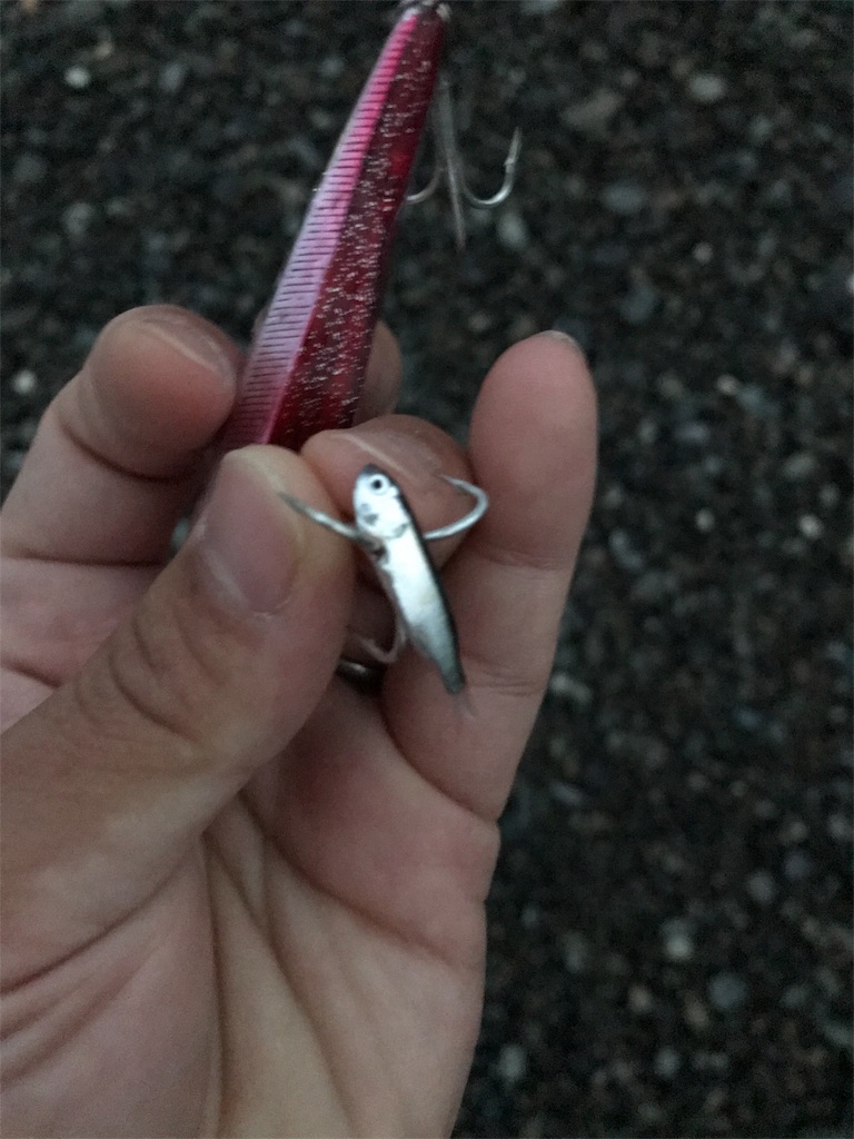 f:id:yasutsuchi2:20181205074734j:image