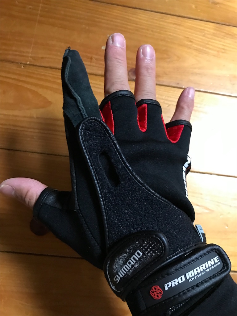 f:id:yasutsuchi2:20181219205954j:image