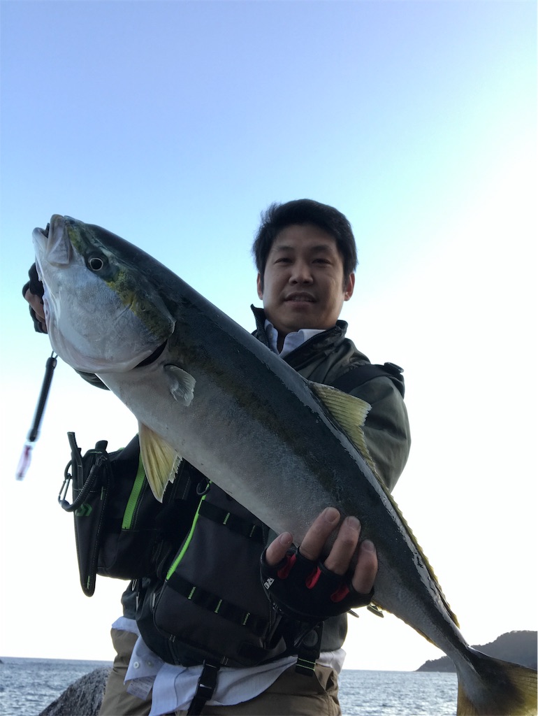 f:id:yasutsuchi2:20190221003517j:image