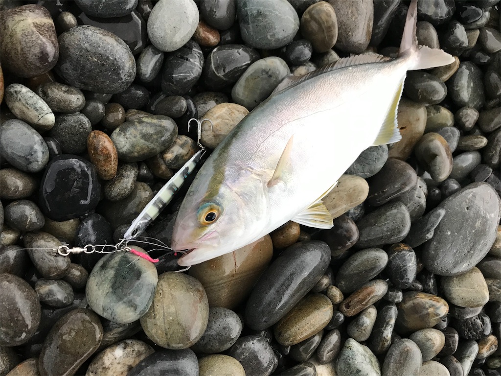 f:id:yasutsuchi2:20190701124548j:image