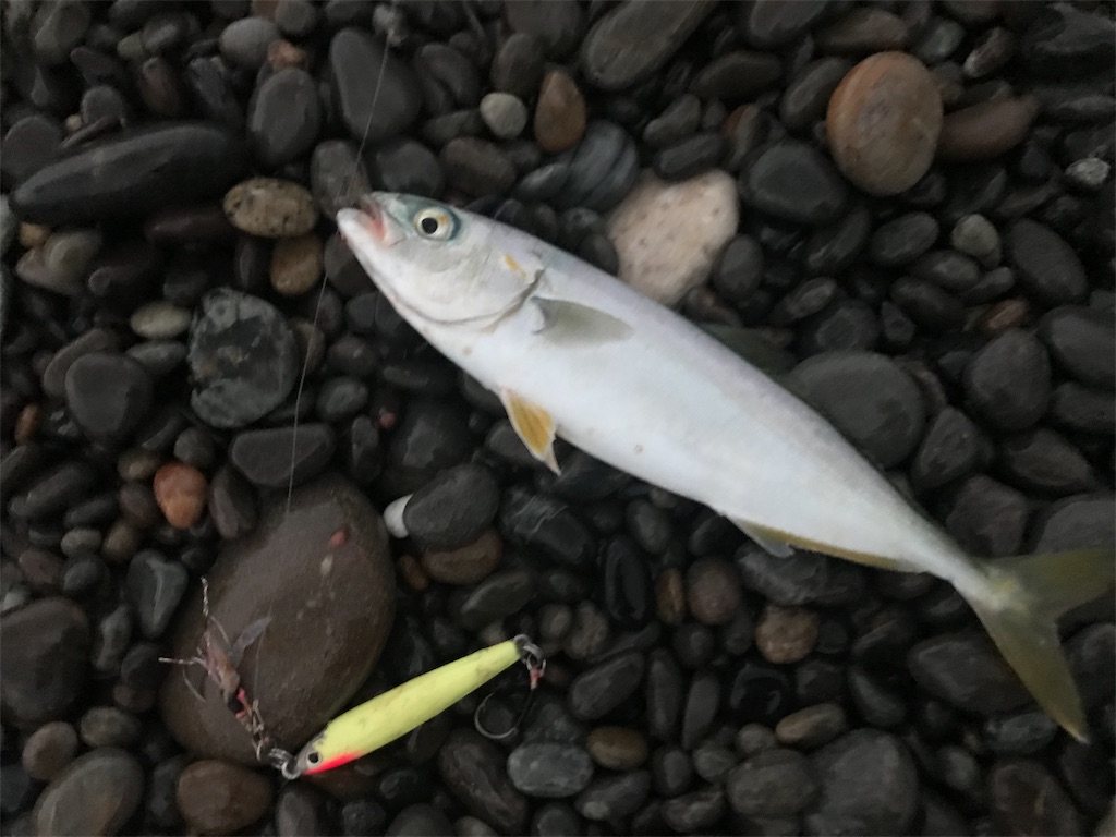 f:id:yasutsuchi2:20190710094125j:image