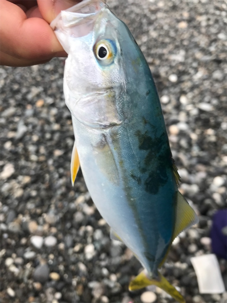 f:id:yasutsuchi2:20190714093857j:image f:id:yasutsuchi2:20190714093857j:image