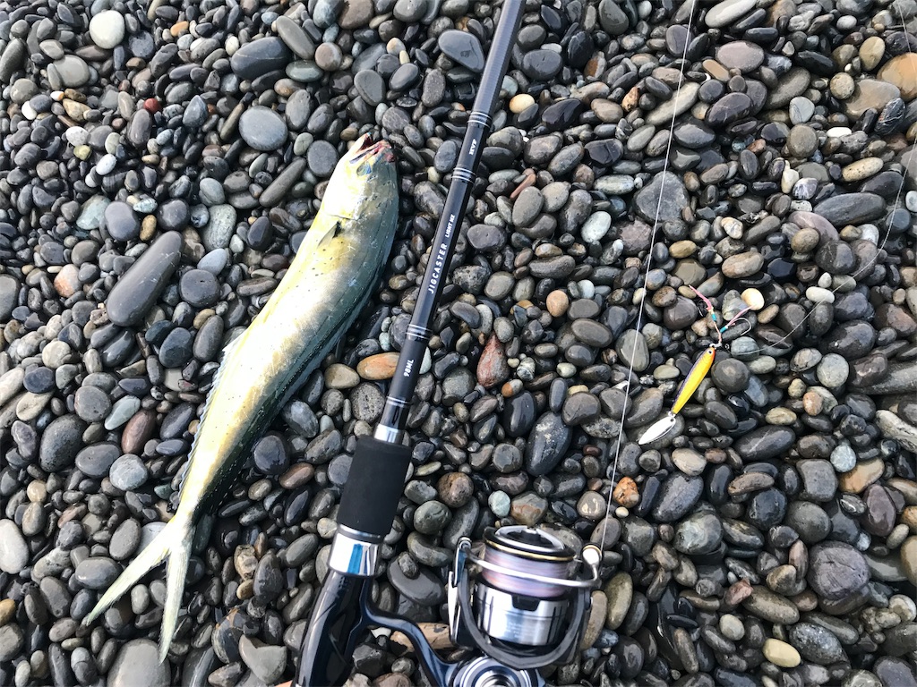 f:id:yasutsuchi2:20190717233802j:image
