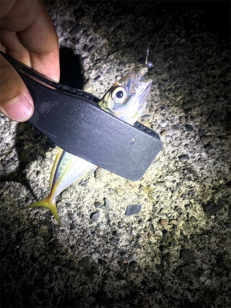 f:id:yasutsuchi2:20190915194548j:image f:id:yasutsuchi2:20190915194548j:image