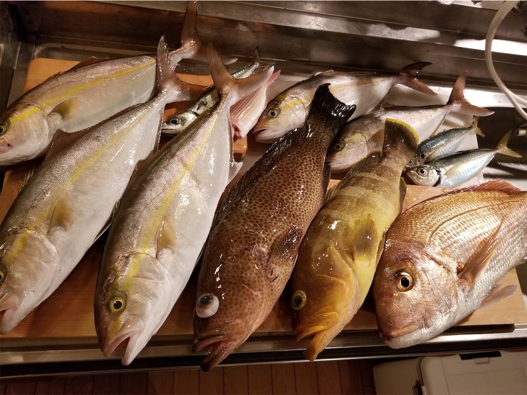 f:id:yasutsuchi2:20191119000726j:image