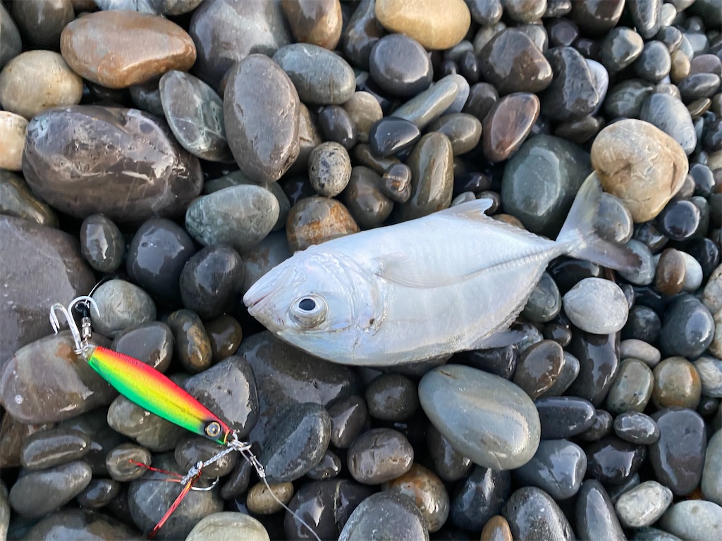 f:id:yasutsuchi2:20191216191616j:image f:id:yasutsuchi2:20191216191616j:image