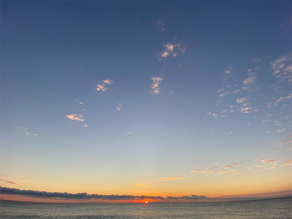 f:id:yasutsuchi2:20191231090945j:image