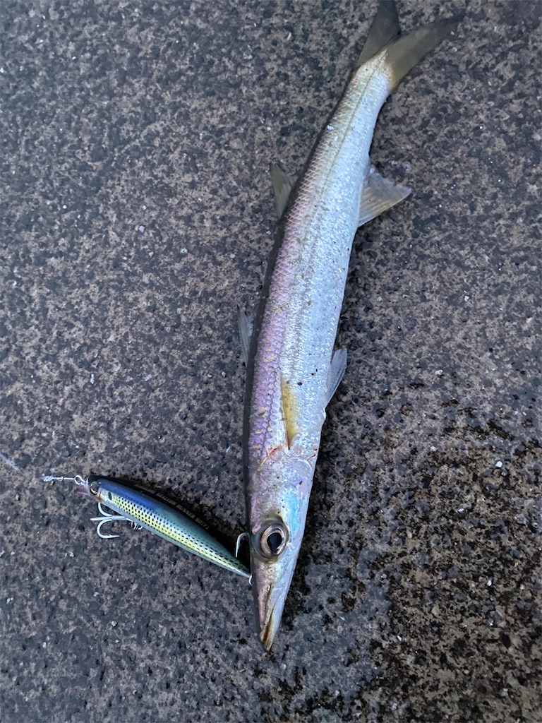 f:id:yasutsuchi2:20200127190135j:image