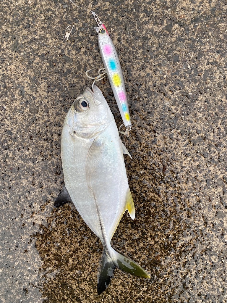 f:id:yasutsuchi2:20200128074500j:image