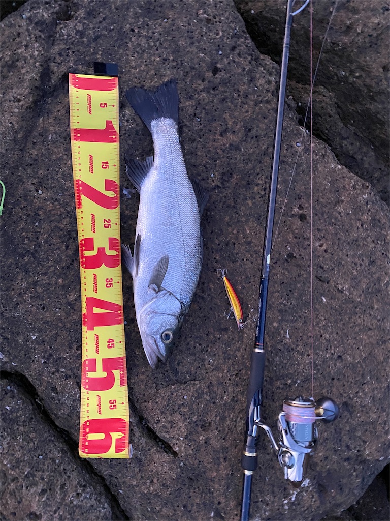 f:id:yasutsuchi2:20200321191503j:image f:id:yasutsuchi2:20200321191503j:image