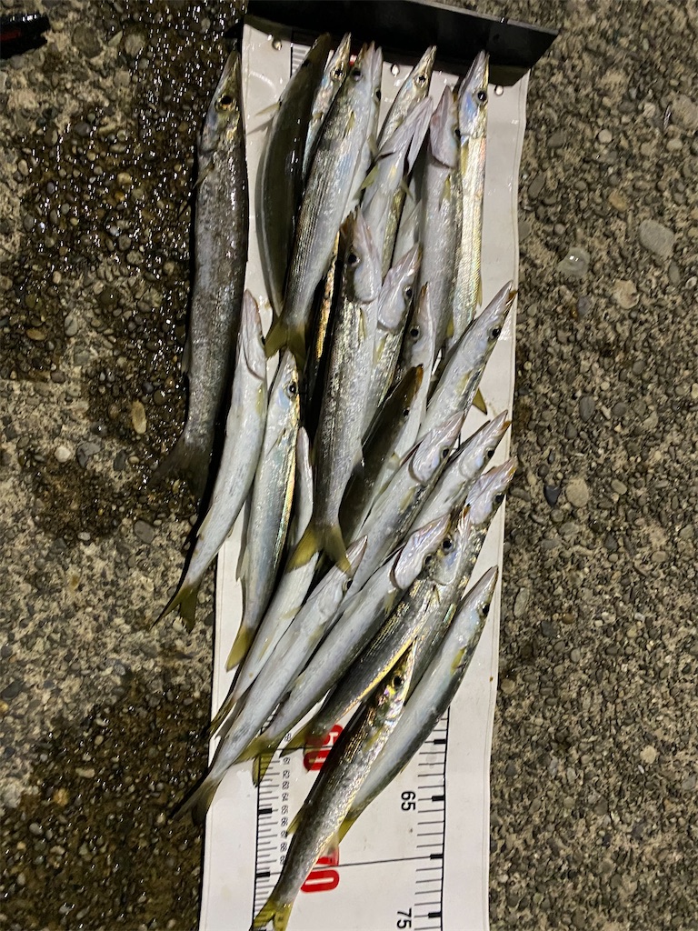 f:id:yasutsuchi2:20200409124028j:image